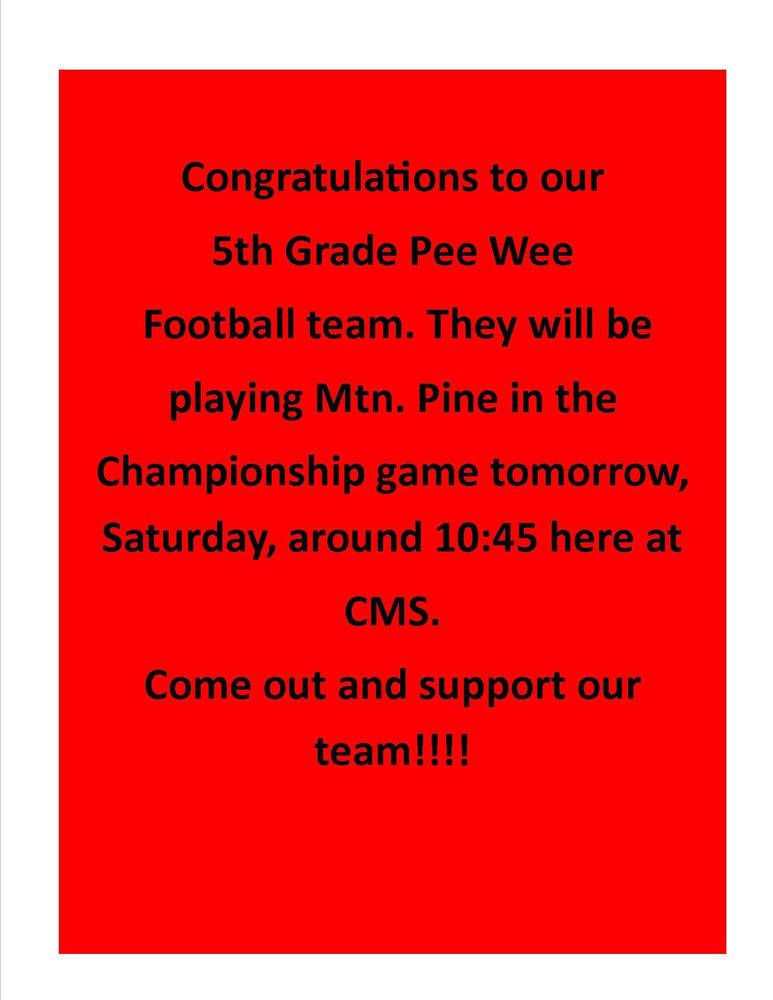 5th Grade Pee Wee Championship Game